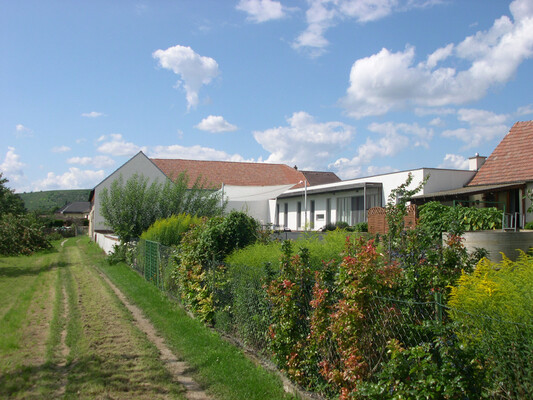 EFH Rohrendorf - Garten